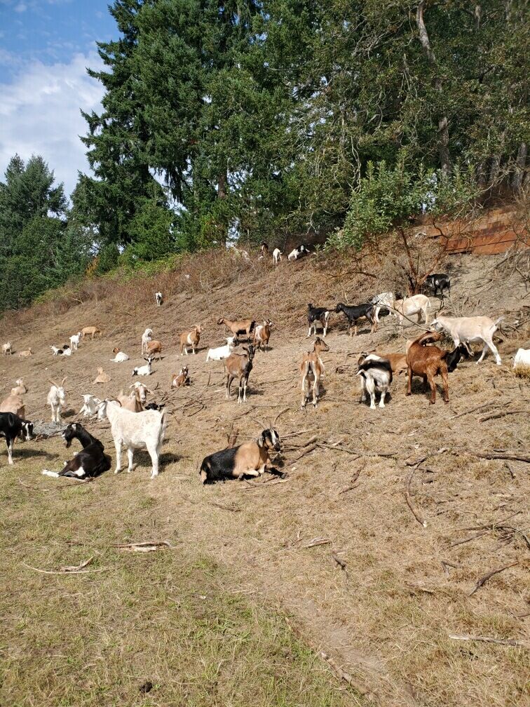 Photo Sep 11, 15 15 40