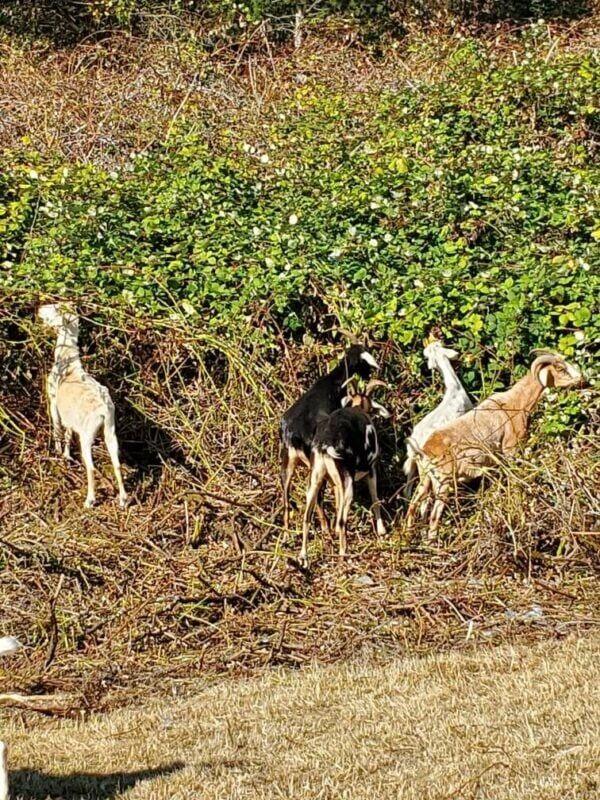 Photo Sep 11, 15 16 14