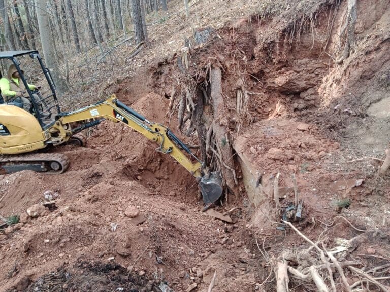 IMG_20231229_131632_326