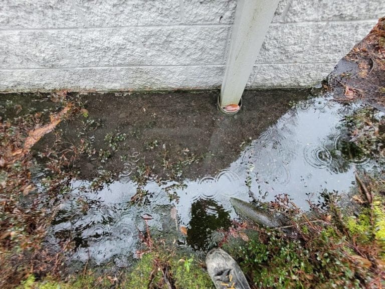 Clogged Downspout