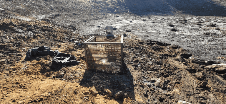 Screenshot 2025-07-09 160811