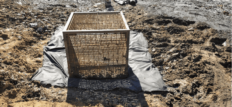 Screenshot 2025-07-09 160830