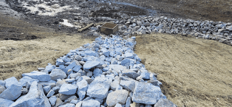 Screenshot 2025-07-09 160907