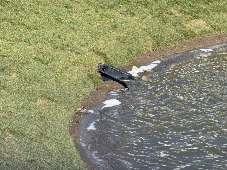 Shore line erosion image